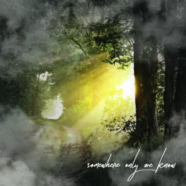 Somewhere Only We Know (deluxe version) by Sons of Serendip - album cover