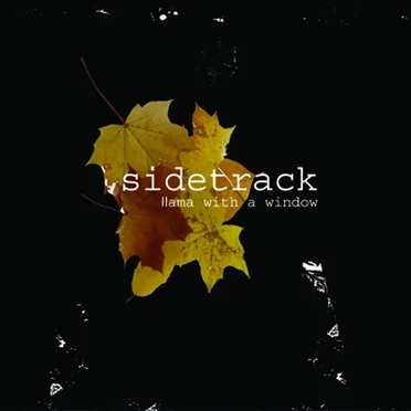 Llama with a Window by Sidetrack - album cover