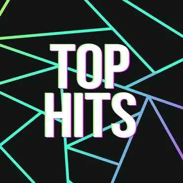 Top Hits by Various Artists - album cover