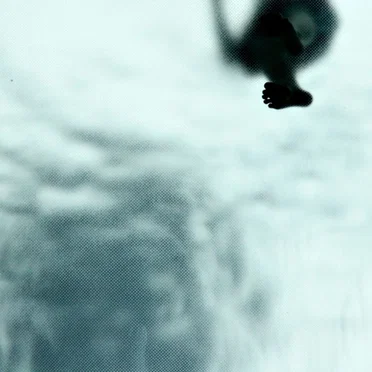 House of Sharp Optics