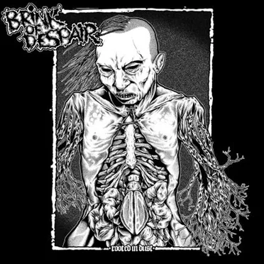 Rooted in Dust by Brink of Despair - album cover