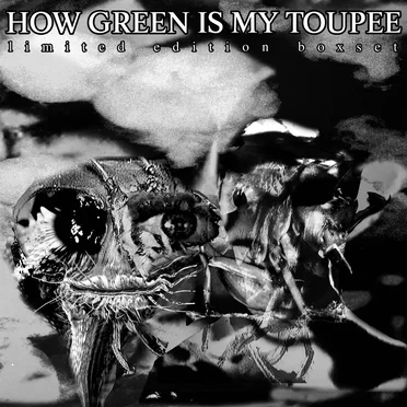 Limited Edition Boxset by How Green Is My Toupee - album cover
