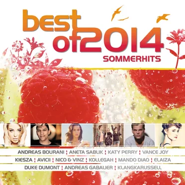 Best of 2014: Sommerhits by Various Artists - album cover