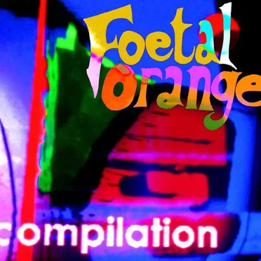 Foetal Orange Compilation, Volume 1 by Various Artists - album cover
