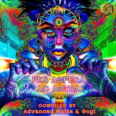 Per Aspera Ad Astra by Various Artists - album cover