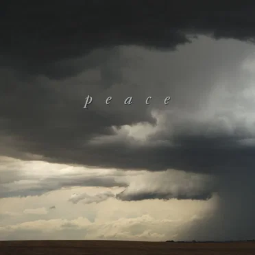 peace by Taylor Swift - album cover
