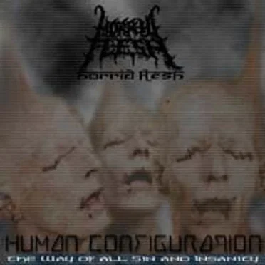 Human Configuration (The Way of All Sin and Insanity)