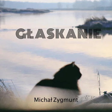 Głaskanie by Michał Zygmunt - album cover