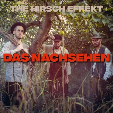 Das Nachsehen by The Hirsch Effekt - album cover