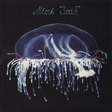Soak by Mimi - album cover