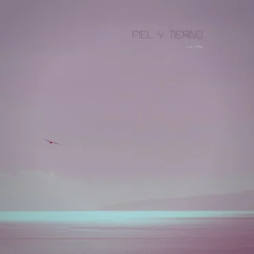 Fiel y tierno by La Viña - album cover