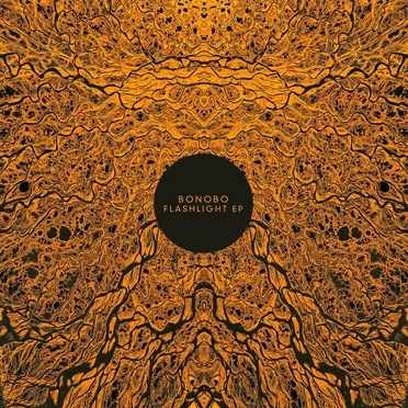 Flashlight EP