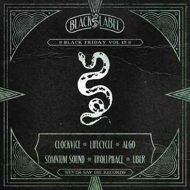 Black Friday, Vol. 13 by Various Artists - album cover