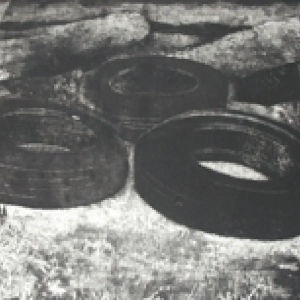 Detritus