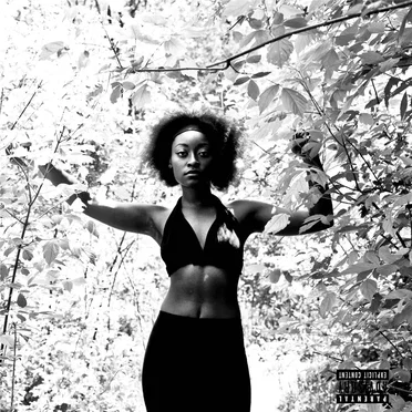Fck Up the Summer by Divine Cight - album cover