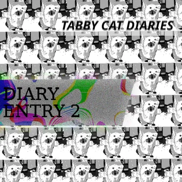 DIARY ENTRY 2