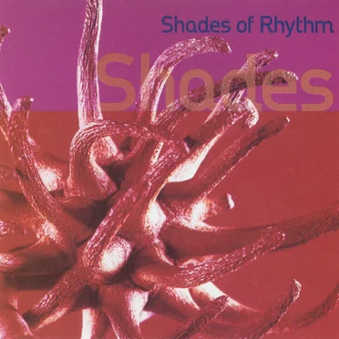 Shades of Rhythm