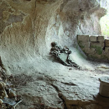 Ritualistic Mutilation in the Bloody Darkness