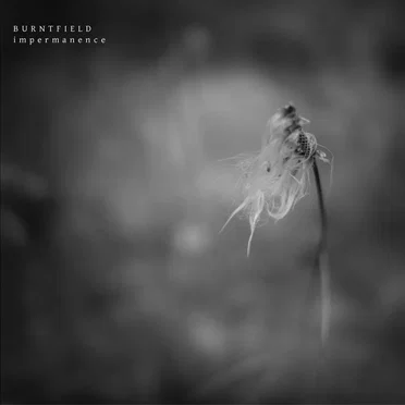 Impermanence by Burntfield - album cover