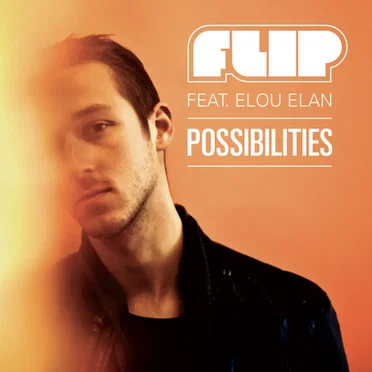 Possibilities by Flip - album cover