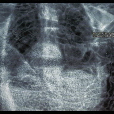 Fear Falls Burning & Birchville Cat Motel