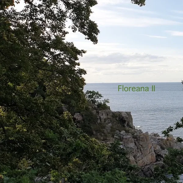 Floreana II