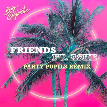 Friends (Party Pupils remix)