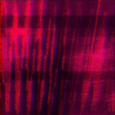 BAD SQUARE by wolfmagic - album cover