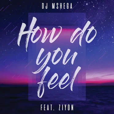 How Do You Feel by DJ Mshega - album cover