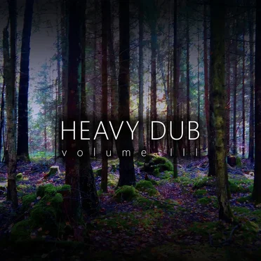 Heavy Dub Vol. 3 by Various Artists - album cover