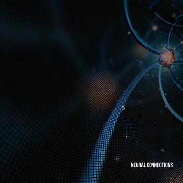 Neural Connections