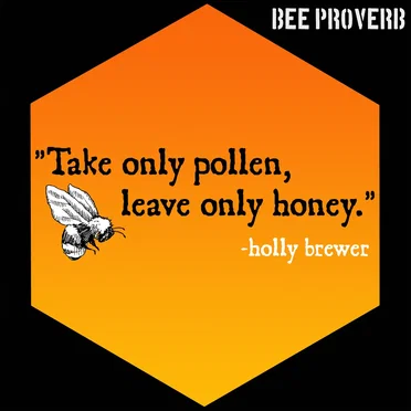 Bee Proverb (instrumental) by Holly Brewer - album cover