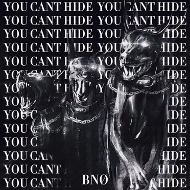 You Can't Hide