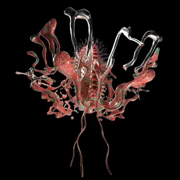 Dixon Presents Transmoderna by Various Artists - album cover