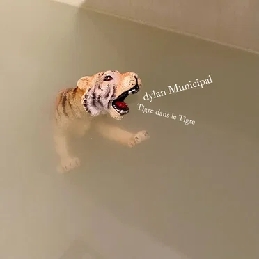 Tigre dans le Tigre