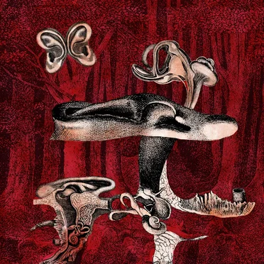 Prova De Biologia by Anvil FX - album cover