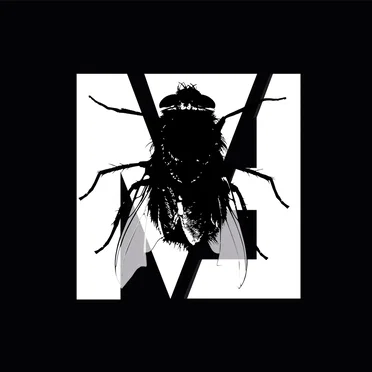 Fly on the Windscreen (Depeche Mode cover)