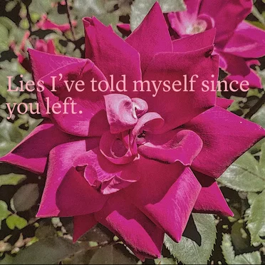 Lies I’ve told myself since you left.