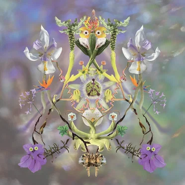 Sumer Is Icumen In by Maibaum - album cover