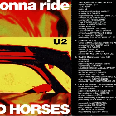 Who’s Gonna Ride Your Wild Horses