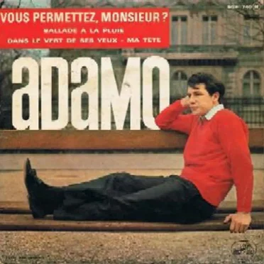 Vous permettez, monsieur ?