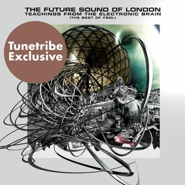 Teachings From the Electronic Brain: The Best of FSOL