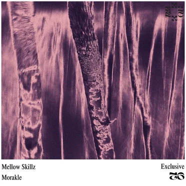 Mellow Skillz by Morakle - album cover