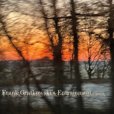 Frank Gratkowski's Entrainment by Frank Gratkowski's Entrainment - album cover