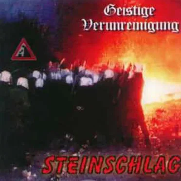 Steinschlag by Geistige Verunreinigung - album cover