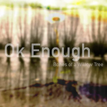 Bones of A Willow Tree by Ok, Enough - album cover