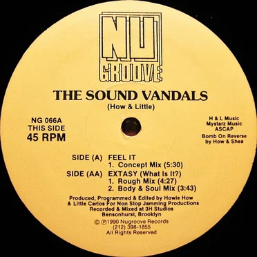 Feel It / Extasy by The Sound Vandals - album cover