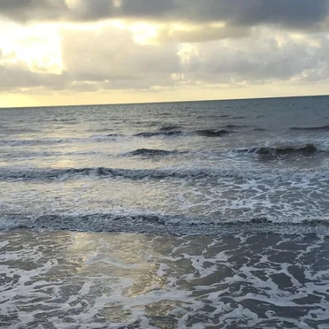 Seas