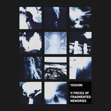11 Pieces Of Fragmented Memories
