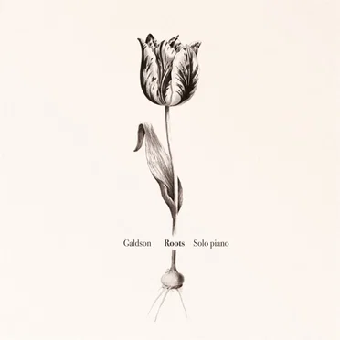 Roots by Galdson - album cover
